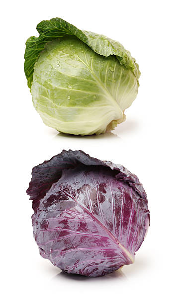 cabbages rosso e verde - green cabbage foto e immagini stock