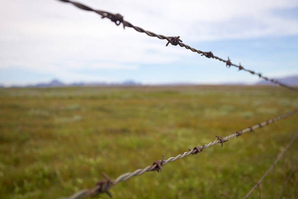 Barbed Wire Fence stock photo