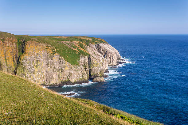 istock Cape St. Mary's Ecological Reserve, Newfoundland 509538921