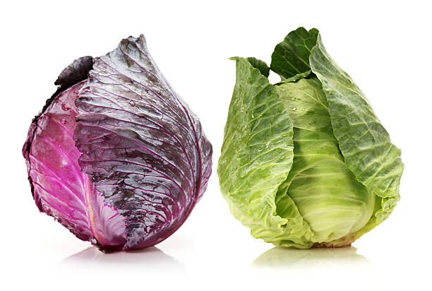 cabbages rosso e verde - green cabbage foto e immagini stock
