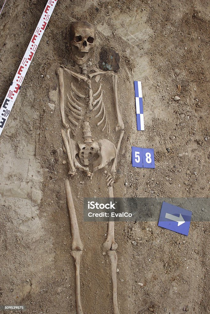 Archaeology Grave of XVI-XVI st. Human with some coins and remains of coffin Anatomy Stock Photo