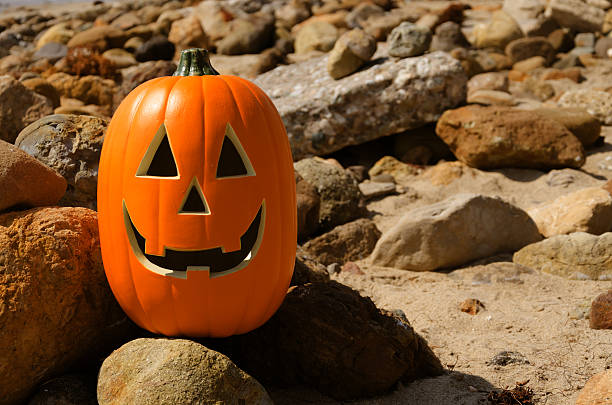 istock Halloween pumpkin on the rocky beach 509539795