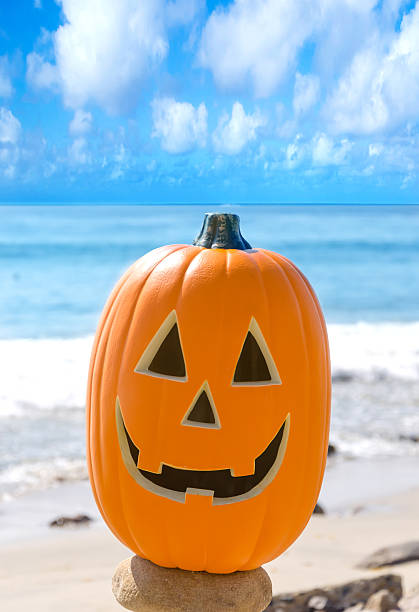 istock Halloween pumpkin on the rocky beach 509539939