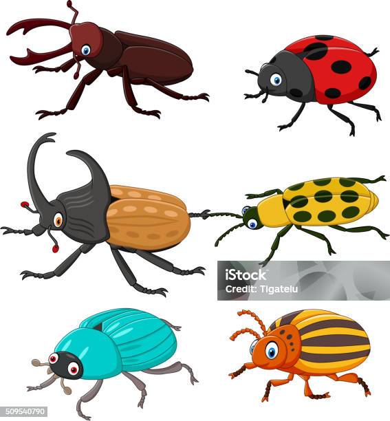 Cartoon Funny Beetle Collection Stock Illustration - Download Image Now - Dynastinae, Animal, Animal Antenna - iStock Cartoon Funny Beetle Collection Stock Illustration - Download Image Now - Dynastinae, Animal, Animal Antenna - iStock