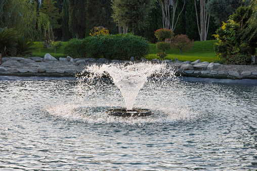 Five Creative Ideas To Enhance Your Outdoor Space With Pond Fountains
