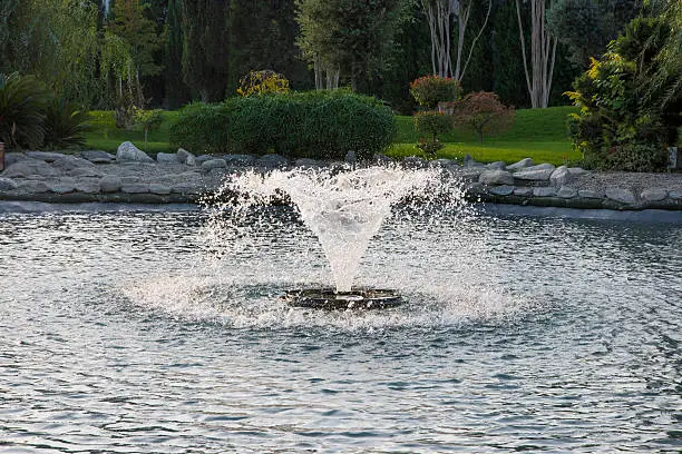 Photo of water fountain in beautiful scenic botanical gardens