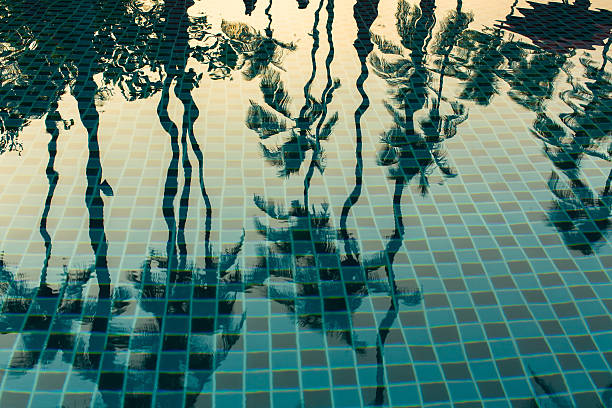 Palm trees reflected in the water of the pool.