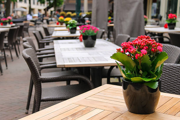 istock Pots with decorative flowers on the tables 509546336