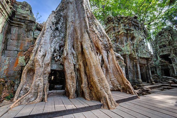 istock Angkor Wat Cambodia. Ta Prohm Khmer ancient Buddhist temple 509548078