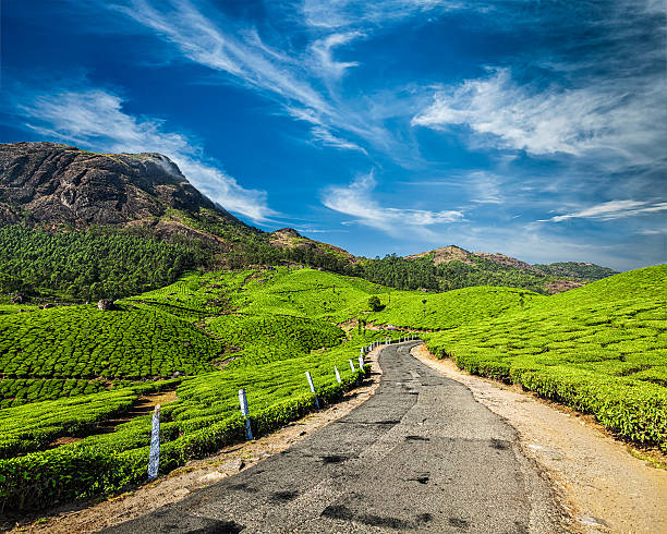 istock Road in tea plantations, India 509549662