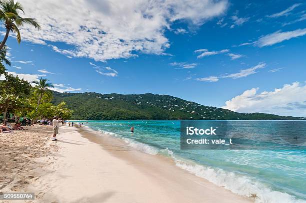 Baía De Magensa Mundialmente Famosa Praia De St Thomas - Fotografias de stock e mais imagens de Ilhas Virgens