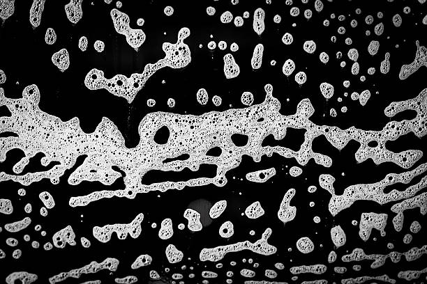 istock Close up detail Water front sponge 509552816