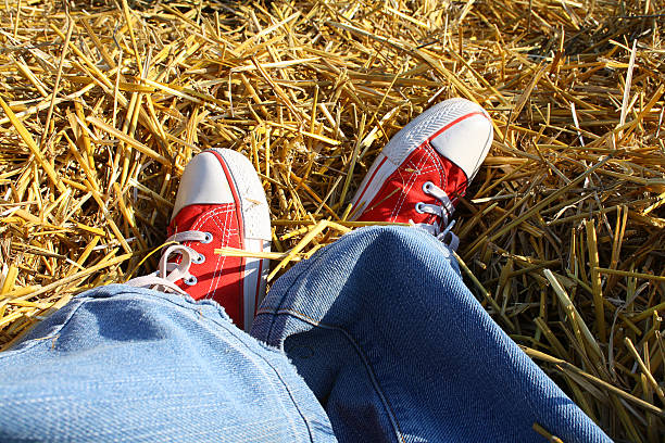 Woman feet up on wheat field background. Beautiful slim legs in red shoes.