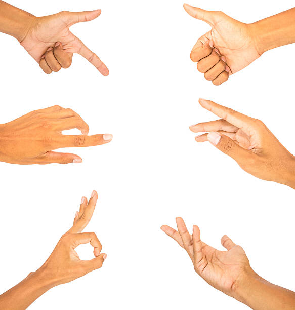 istock collection of hand and finger symbol white isolated 509557406