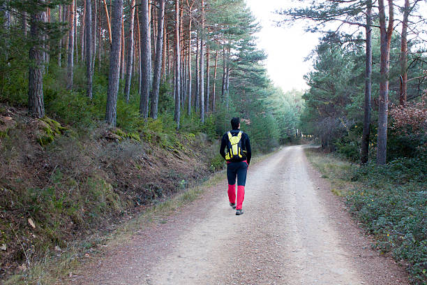 istock Mountaineer walking in the forest 509557780