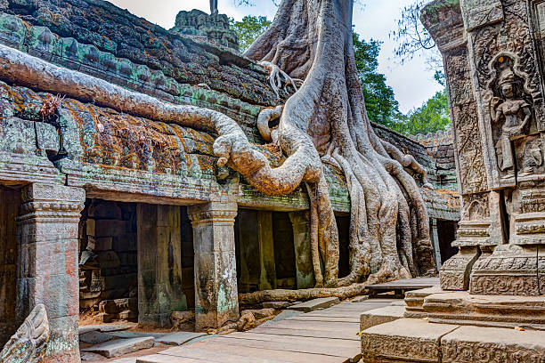 istock Angkor Wat Cambodia. Ta Prohm Khmer ancient Buddhist temple 509558418