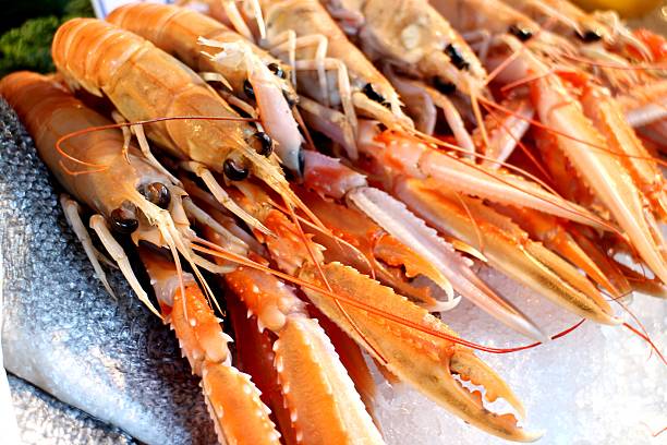istock Fresh scampi on ice in the market 509559240