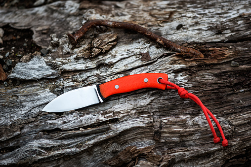 Close-up shot of penknife with orange handle placed on a wooden log next to the old rusty nail.