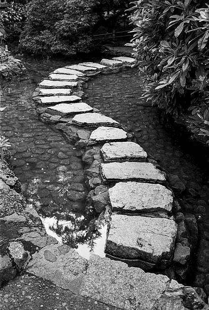 istock Stepping Stones Through Garden Pond 509561235