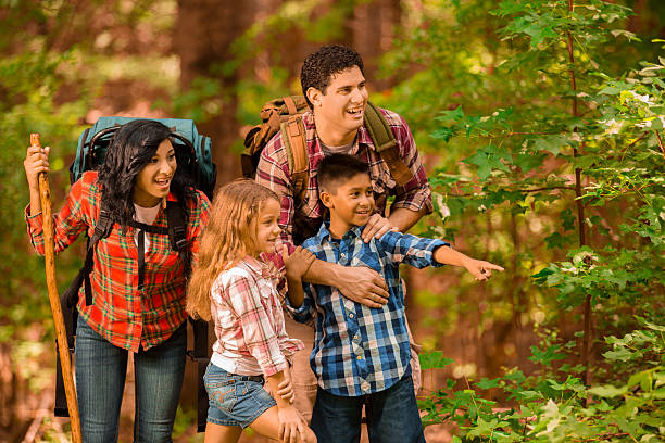 istock Multi-ethnic family hiking, backpacking outdoors in national park area. 509562005