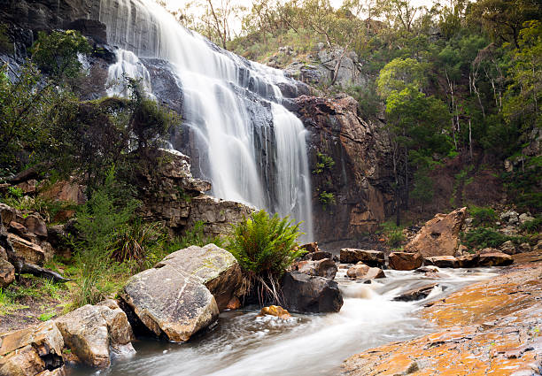 istock MacKenzie Falls, Grampians 509563639