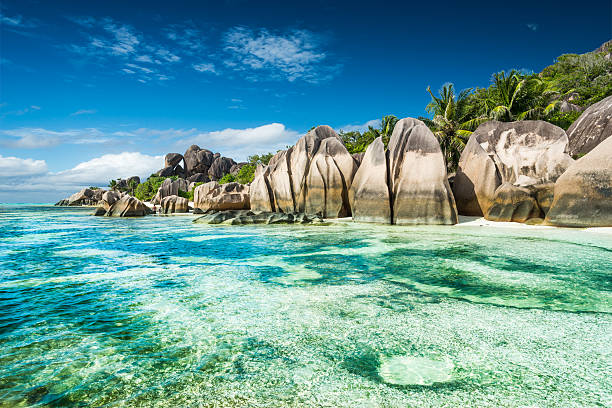 istock Anse Sous d'Argent beach with granite boulders 509563855