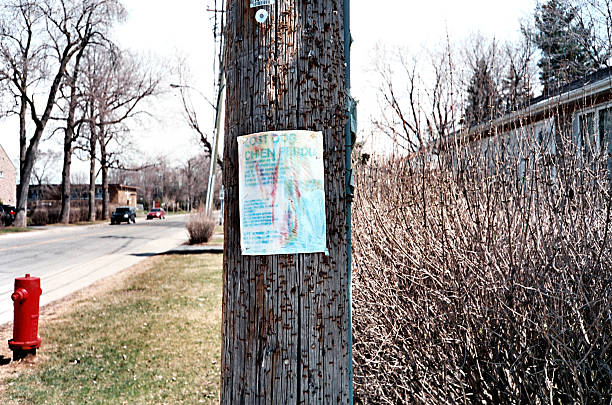 istock Lost Dog Sign 509564217