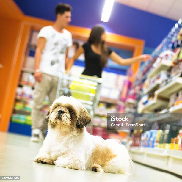 Couple Shopping In Pet Store With Shih Tzu In Foreground Stock Photo - Download Image Now