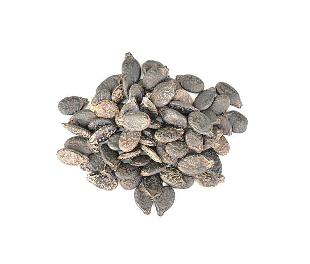 istock Seeds of ridge gourd over white background 509567981