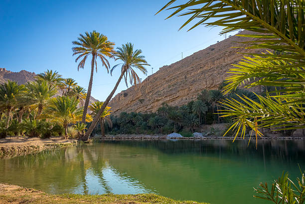 istock Water pools in Wadi Bani Khalid, Oman 509568097