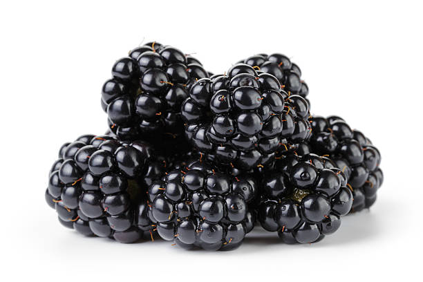 istock ripe organic blackberries 509568353