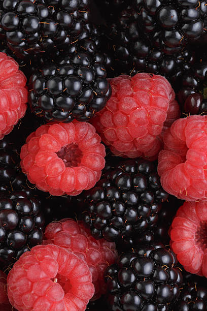 istock ripe organic blackberries and raspberries 509568361