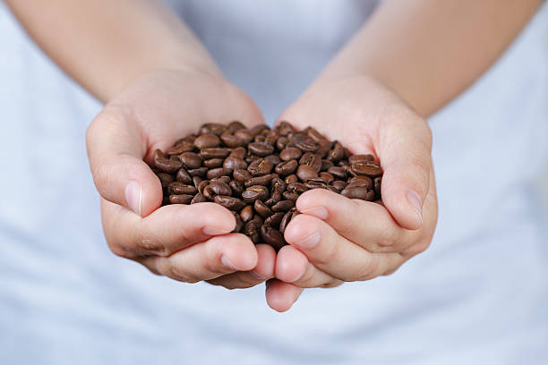 istock female teen hands hold coffee beans 509583003