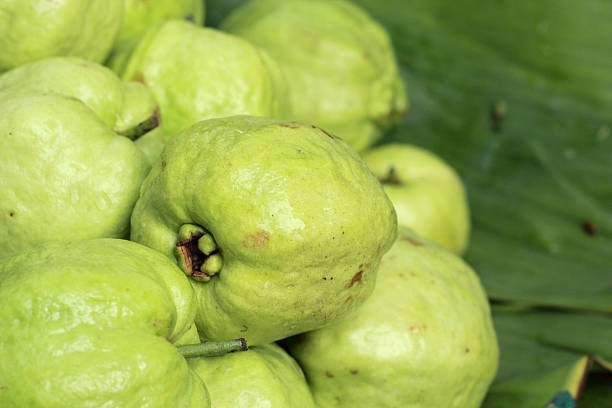 istock Guava fruit in the market 509583947