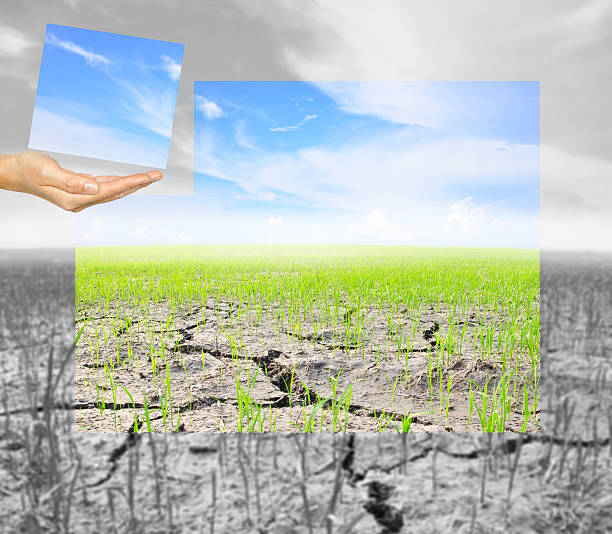 istock hand hold a part of jigsaw Agriculture paddy field 509587843