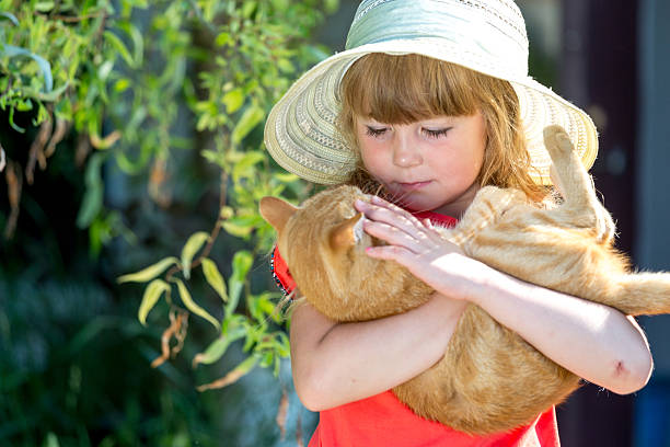 istock Let's go to my home, cat 509589603
