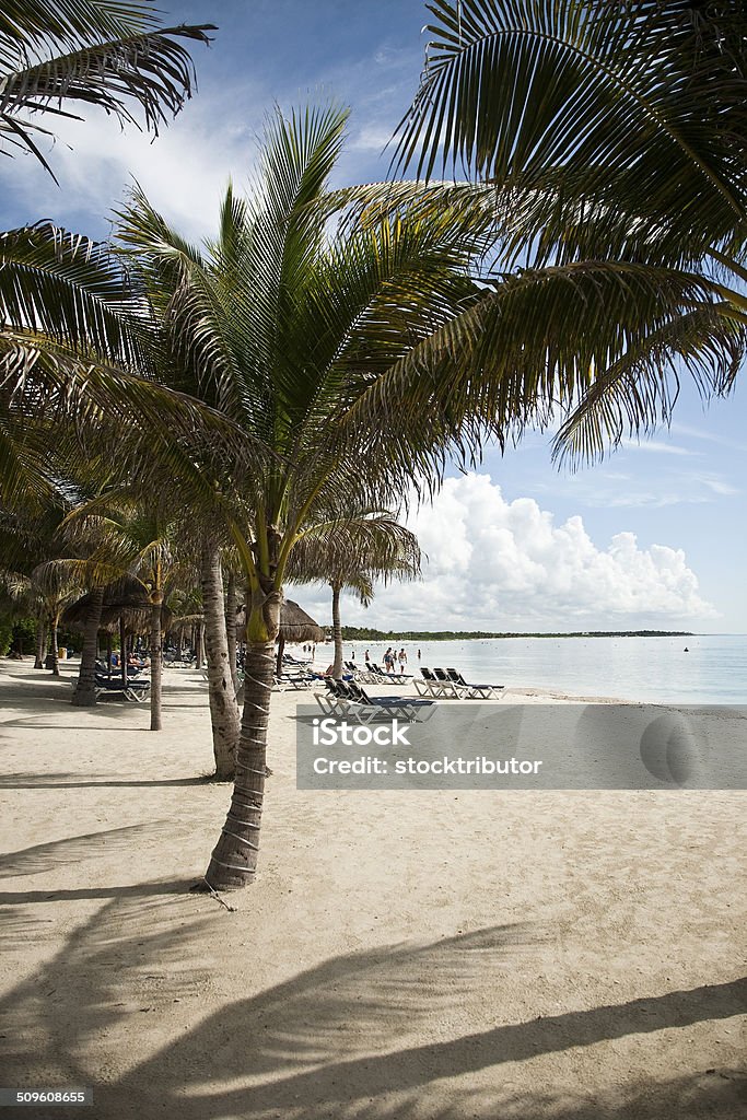 mexican vacation mexican vacation on the white beach and blue sea Mayan Riviera Stock Photo