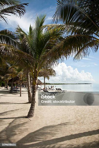 Mexican Vacation Stock Photo - Download Image Now - Mayan Riviera, Palapa, Architecture