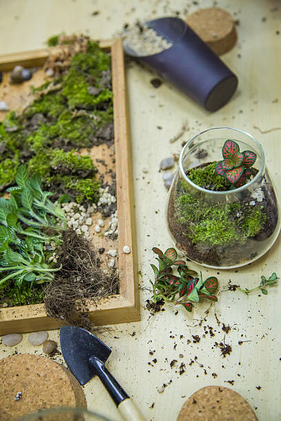 istock Gardening Equipment With Flower Pots 509608901