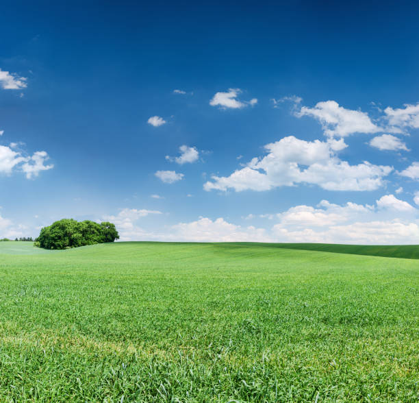 istock Square spring landscape 83MPix XXXXL - meadow, blue sky 509609130