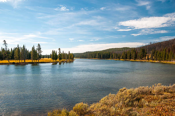 istock Scenic view of autumn calm river. 509609151