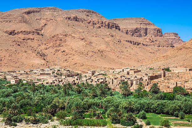 istock Wide view of cultivated fields and palms in Errachidia 509610210