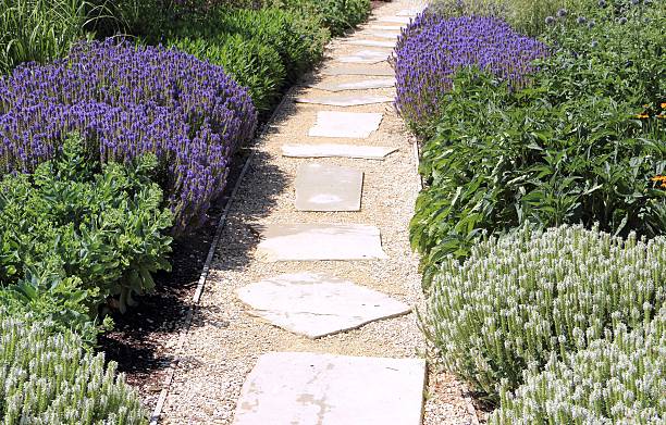 istock Herb and flower garden 509611785