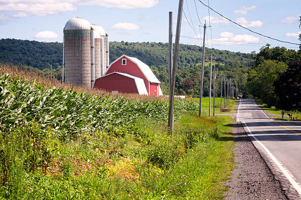 istock Red Barn, corn field, roadside, New York State 509612469