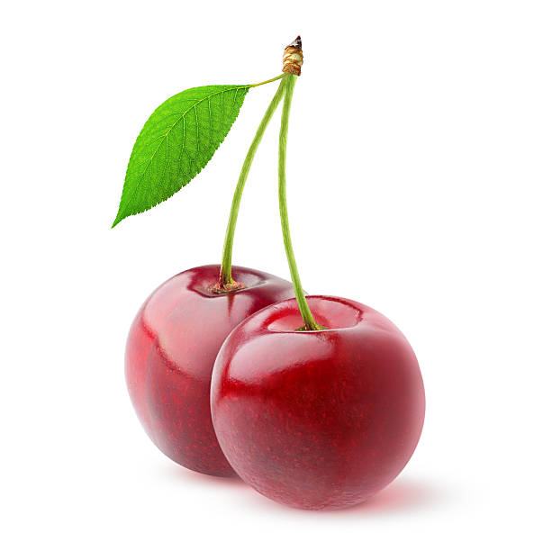 istock Two sweet cherries isolated on white 509612705