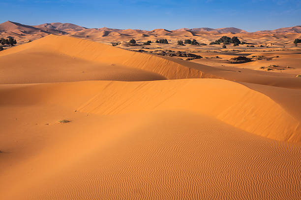 istock Sand dunes in the Sahara Desert, Merzouga, Morocco 509612832