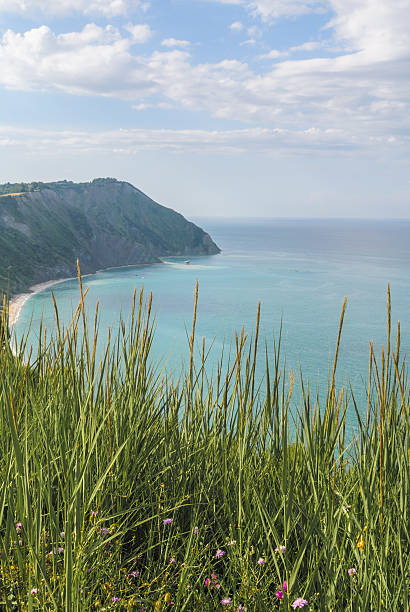 istock portonovo bay 509613355