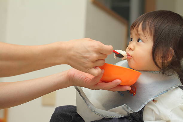 食べる、日本の赤ちゃん女の子ベビーフード（1 年） - 1歳以上2歳未満 ストックフォトと画像