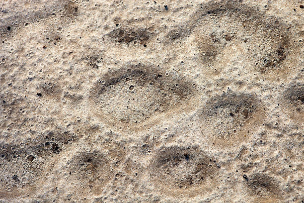 sable après la pluie - ridé surface solide photos et images de collection