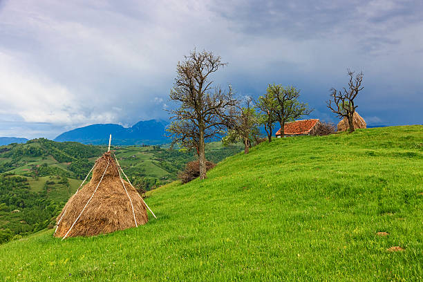 istock Hay in a mountain village 509614480
